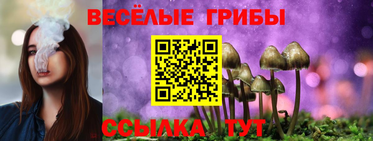 Псилоцибиновые грибы MAGIC MUSHROOMS Обь